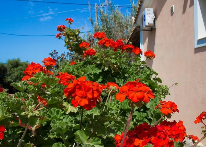 Sophias House Fanari Ferienhaus