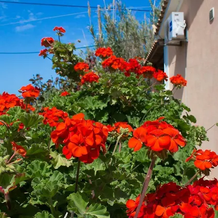 Sophias House Fanari Hébergement de vacances